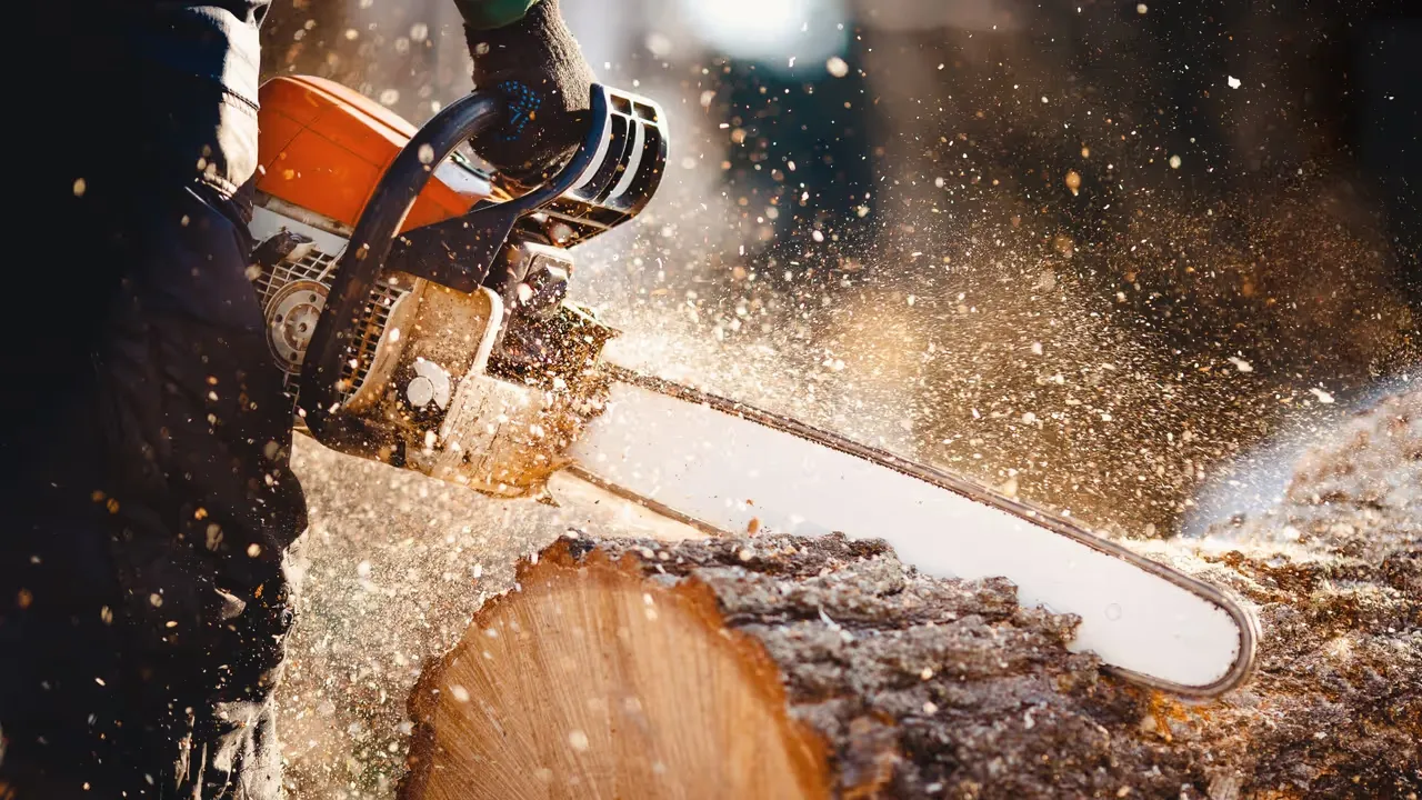 Att fälla träd med känsla och ansvar