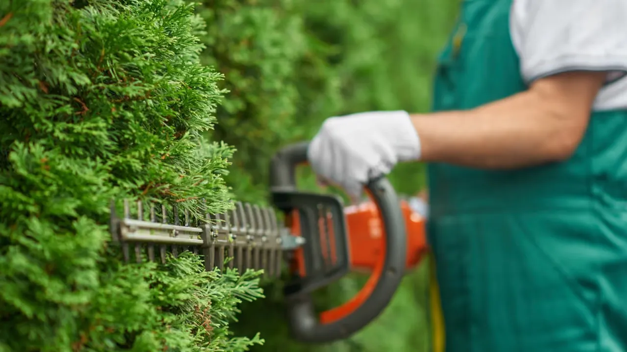 Biodynamisk trädgårdsskötsel för nybörjare