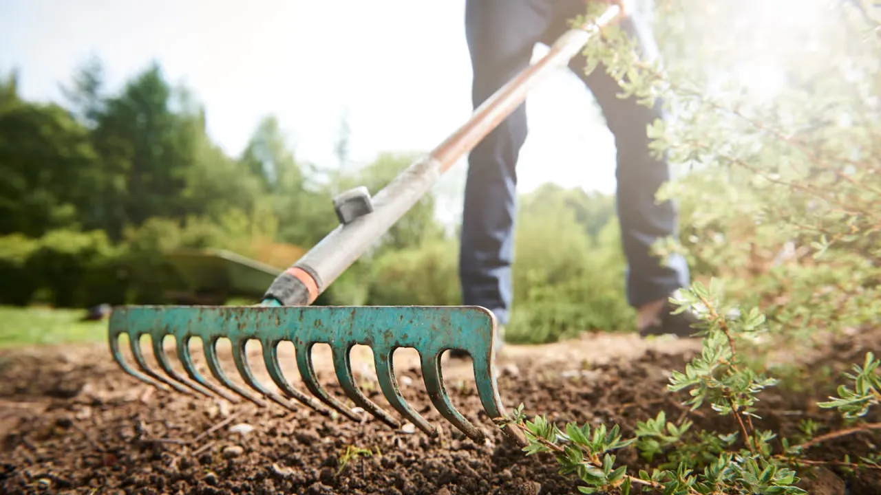 Skapa din drömträdgård med hjärtat