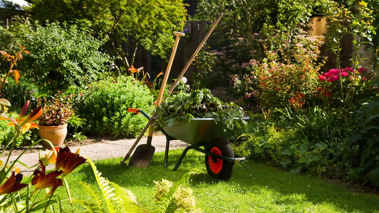 Skapa din drömträdgård med passion